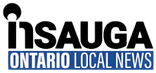 insauga logo